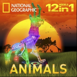 NG Animales 12 en 1